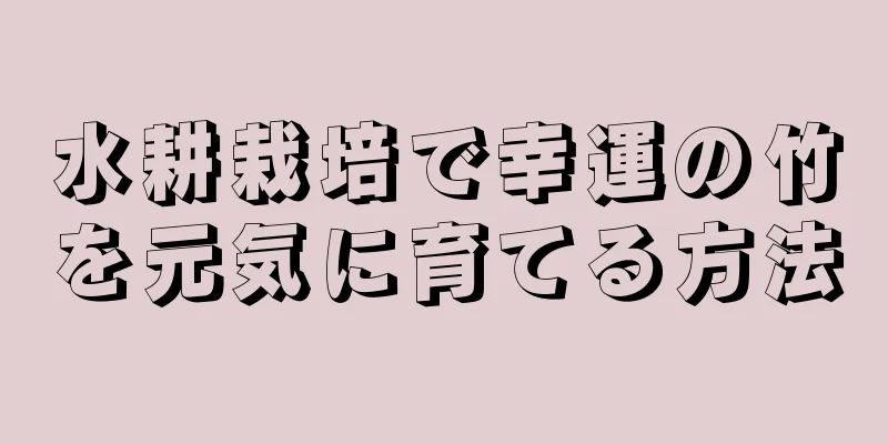水耕栽培で幸運の竹を元気に育てる方法