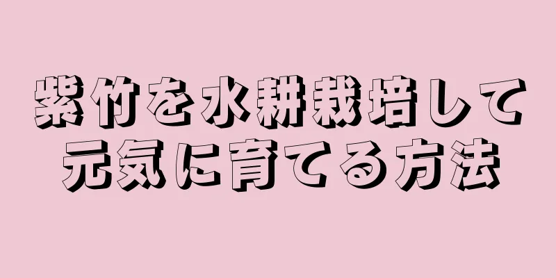 紫竹を水耕栽培して元気に育てる方法
