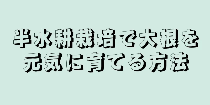 半水耕栽培で大根を元気に育てる方法