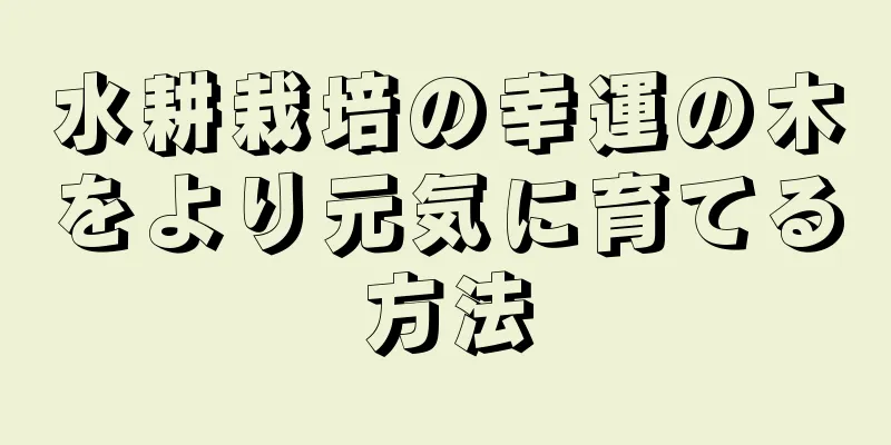 水耕栽培の幸運の木をより元気に育てる方法