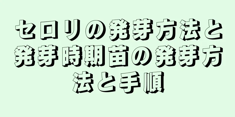 セロリの発芽方法と発芽時期苗の発芽方法と手順