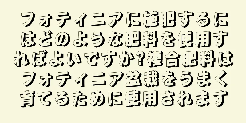 フォティニアに施肥するにはどのような肥料を使用すればよいですか?複合肥料はフォティニア盆栽をうまく育てるために使用されます