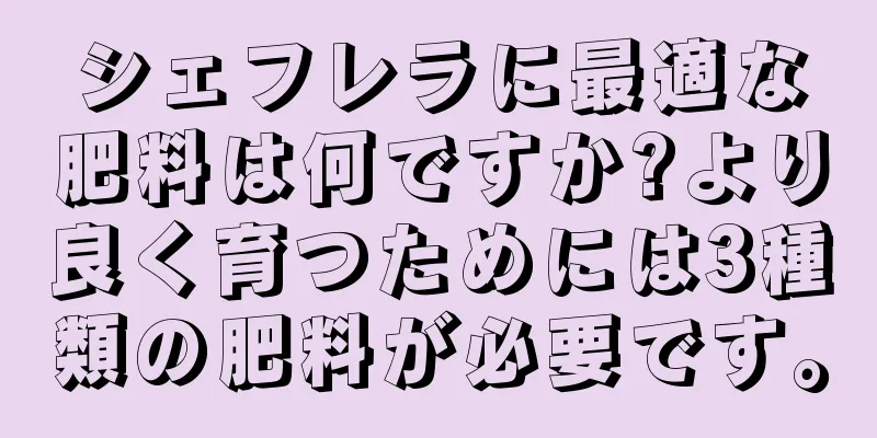 シェフレラに最適な肥料は何ですか?より良く育つためには3種類の肥料が必要です。