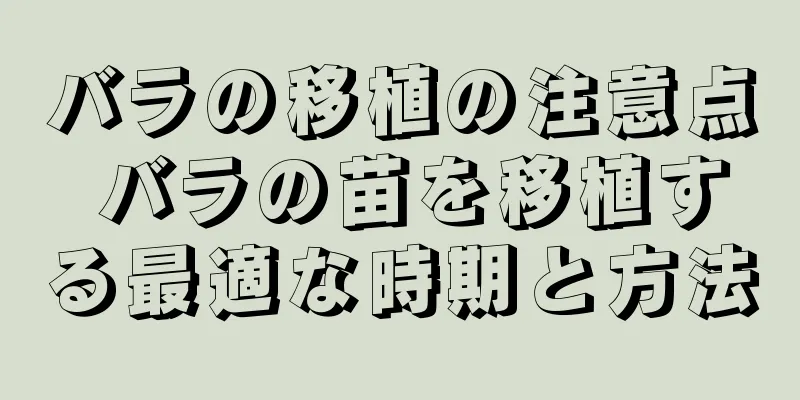 バラの移植の注意点 バラの苗を移植する最適な時期と方法