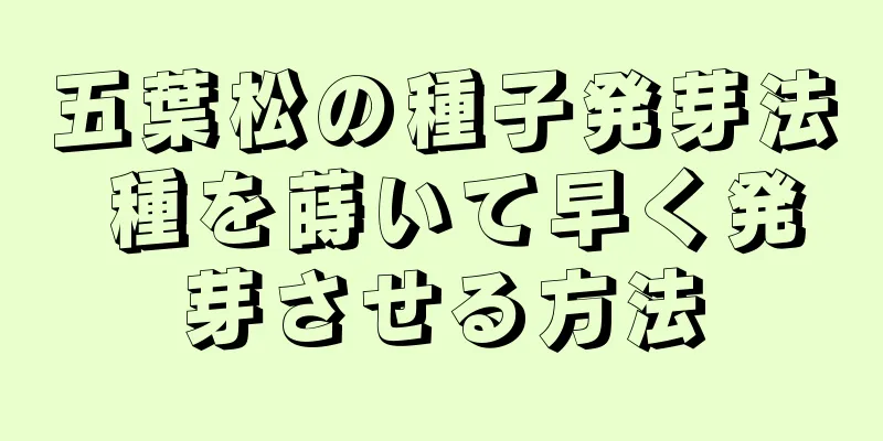 五葉松の種子発芽法 種を蒔いて早く発芽させる方法