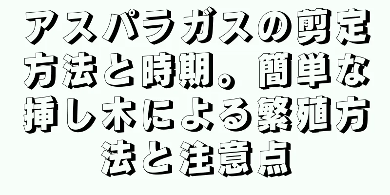 アスパラガスの剪定方法と時期。簡単な挿し木による繁殖方法と注意点