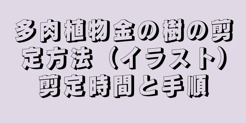 多肉植物金の樹の剪定方法（イラスト）剪定時間と手順