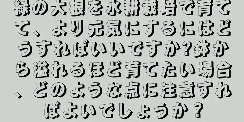 緑の大根を水耕栽培で育てて、より元気にするにはどうすればいいですか?鉢から溢れるほど育てたい場合、どのような点に注意すればよいでしょうか？