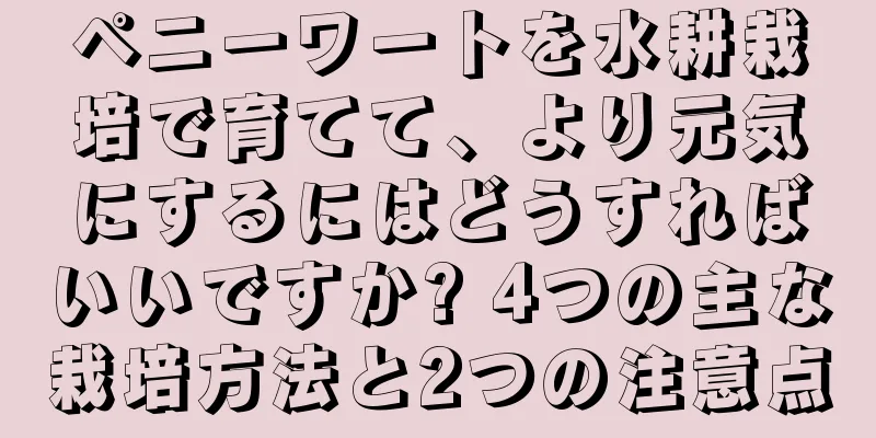 ペニーワートを水耕栽培で育てて、より元気にするにはどうすればいいですか? 4つの主な栽培方法と2つの注意点