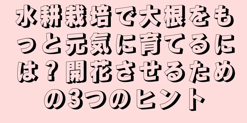 水耕栽培で大根をもっと元気に育てるには？開花させるための3つのヒント