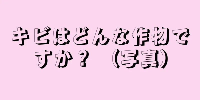 キビはどんな作物ですか？ （写真）