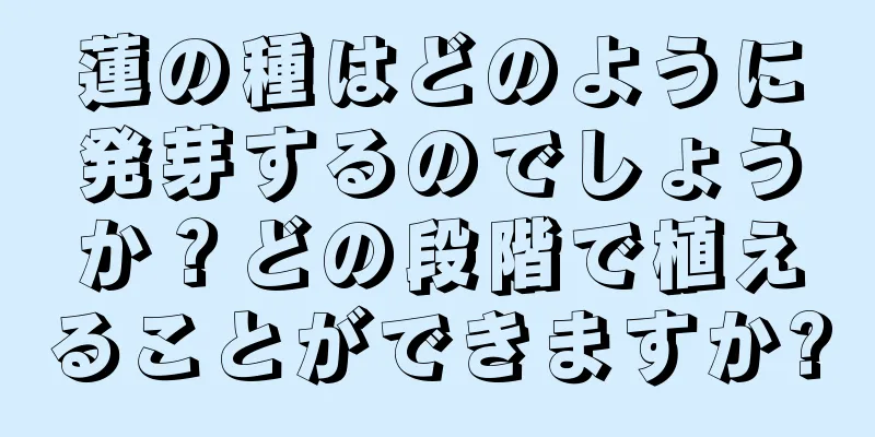蓮の種はどのように発芽するのでしょうか？どの段階で植えることができますか?