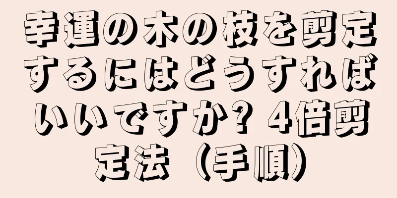 幸運の木の枝を剪定するにはどうすればいいですか? 4倍剪定法（手順）