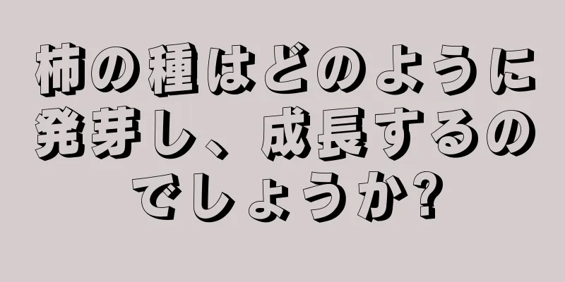 柿の種はどのように発芽し、成長するのでしょうか?