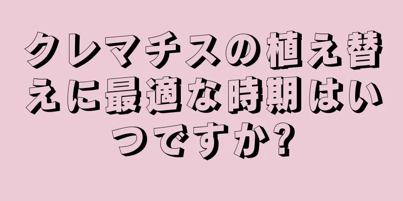 クレマチスの植え替えに最適な時期はいつですか?
