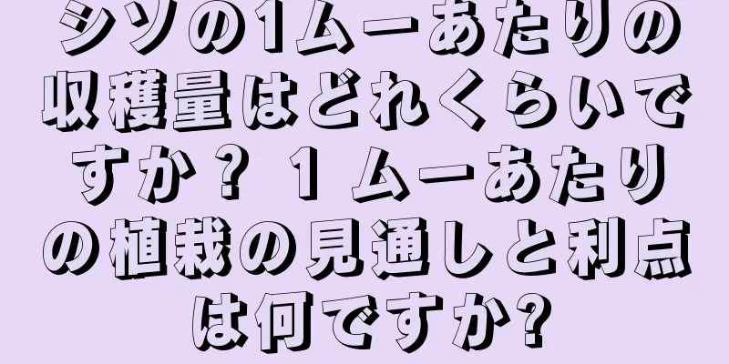 シソの1ムーあたりの収穫量はどれくらいですか？ 1 ムーあたりの植栽の見通しと利点は何ですか?