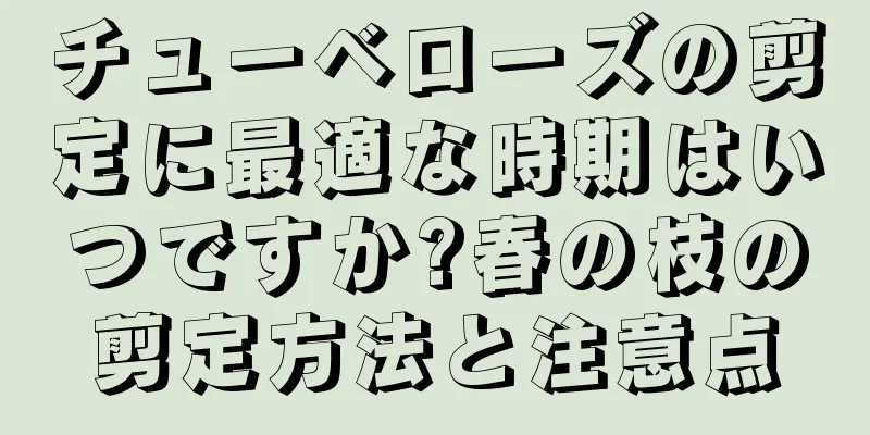 チューベローズの剪定に最適な時期はいつですか?春の枝の剪定方法と注意点