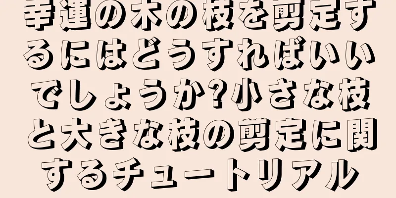 幸運の木の枝を剪定するにはどうすればいいでしょうか?小さな枝と大きな枝の剪定に関するチュートリアル