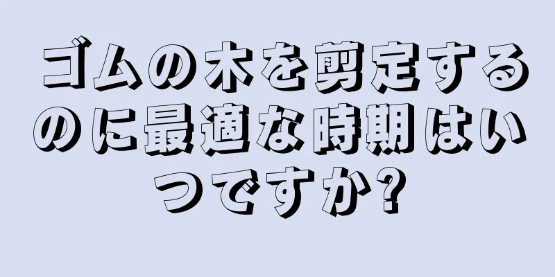 ゴムの木を剪定するのに最適な時期はいつですか?