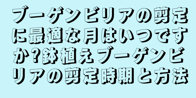 ブーゲンビリアの剪定に最適な月はいつですか?鉢植えブーゲンビリアの剪定時期と方法