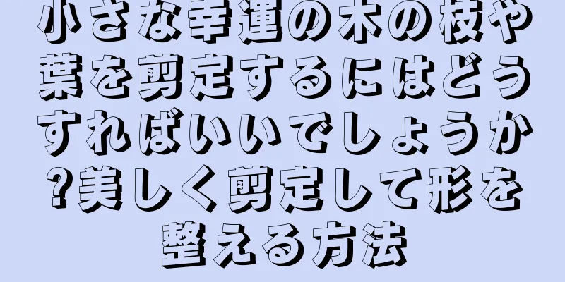 小さな幸運の木の枝や葉を剪定するにはどうすればいいでしょうか?美しく剪定して形を整える方法