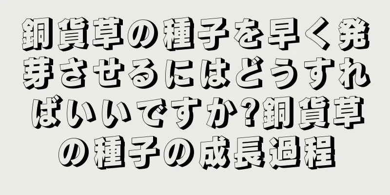 銅貨草の種子を早く発芽させるにはどうすればいいですか?銅貨草の種子の成長過程