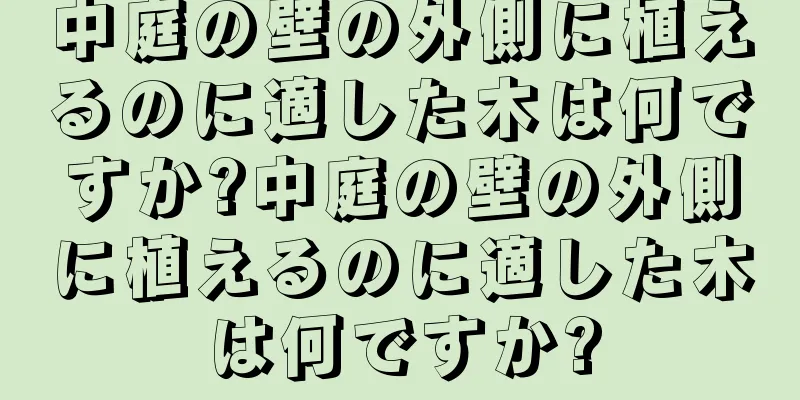 中庭の壁の外側に植えるのに適した木は何ですか?中庭の壁の外側に植えるのに適した木は何ですか?