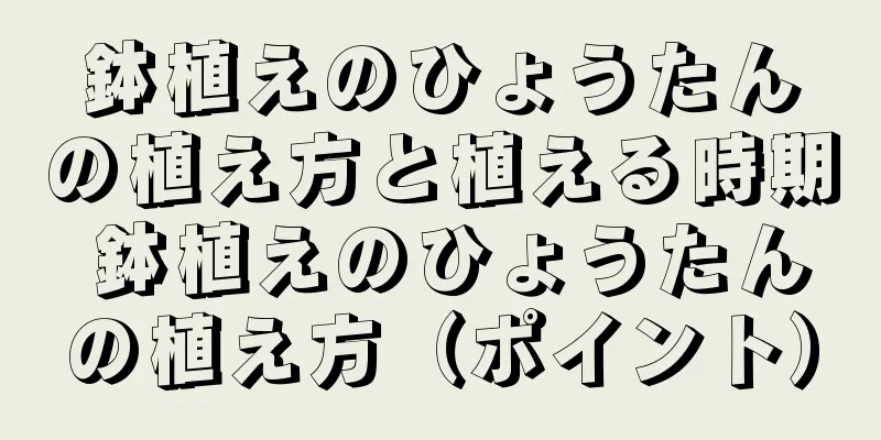 鉢植えのひょうたんの植え方と植える時期 鉢植えのひょうたんの植え方（ポイント）