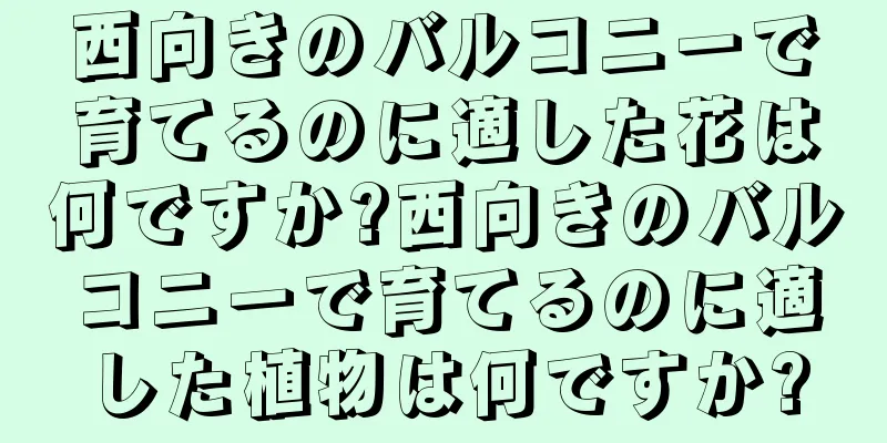 西向きのバルコニーで育てるのに適した花は何ですか?西向きのバルコニーで育てるのに適した植物は何ですか?