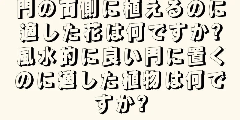 門の両側に植えるのに適した花は何ですか?風水的に良い門に置くのに適した植物は何ですか?