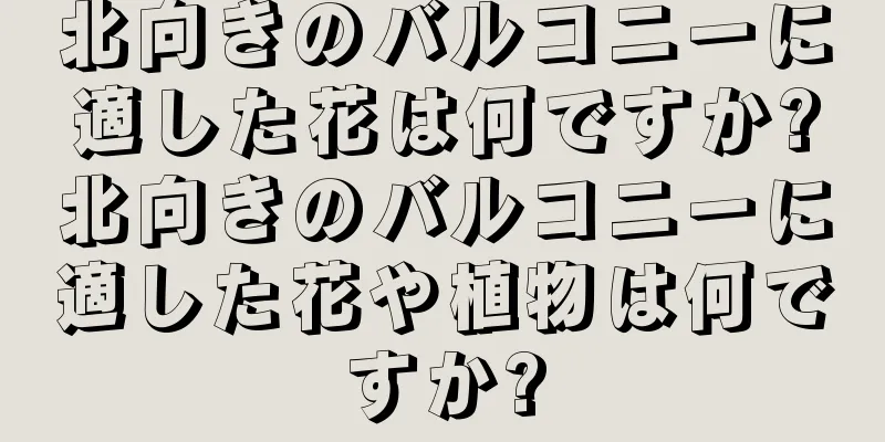 北向きのバルコニーに適した花は何ですか?北向きのバルコニーに適した花や植物は何ですか?