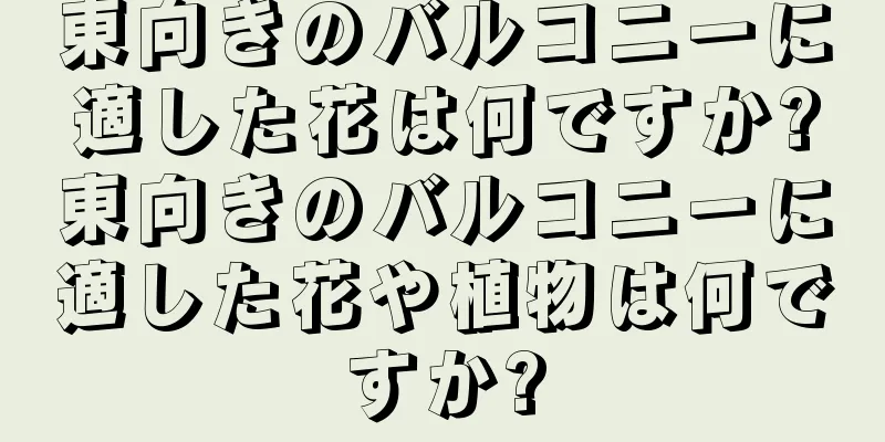 東向きのバルコニーに適した花は何ですか?東向きのバルコニーに適した花や植物は何ですか?
