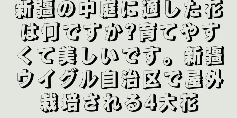 新疆の中庭に適した花は何ですか?育てやすくて美しいです。新疆ウイグル自治区で屋外栽培される4大花