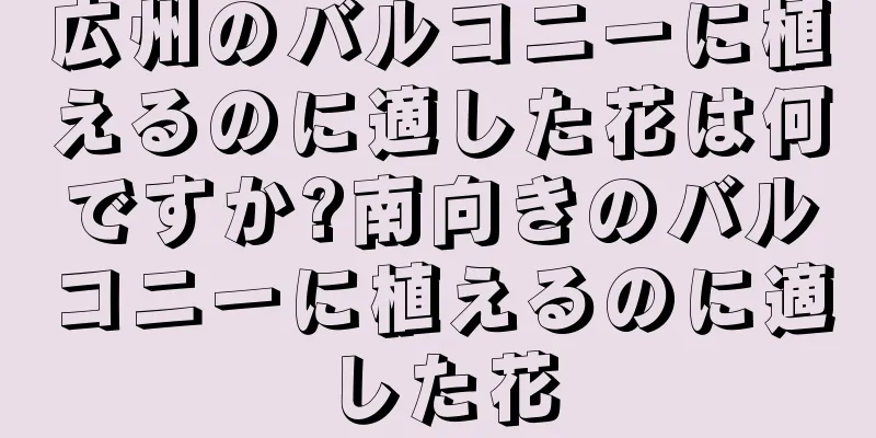 広州のバルコニーに植えるのに適した花は何ですか?南向きのバルコニーに植えるのに適した花