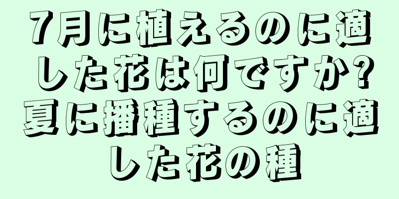 7月に植えるのに適した花は何ですか?夏に播種するのに適した花の種