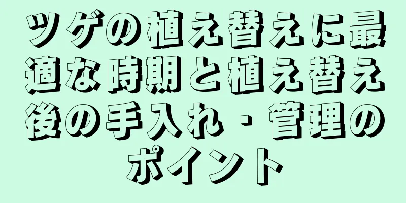 ツゲの植え替えに最適な時期と植え替え後の手入れ・管理のポイント