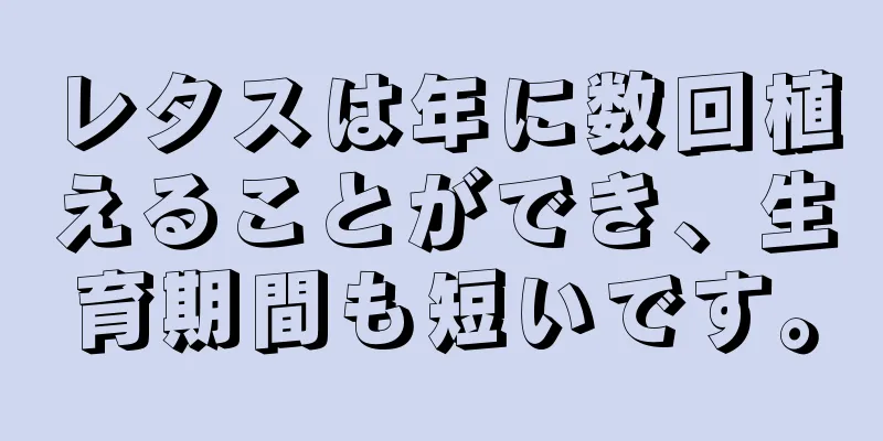 レタスは年に数回植えることができ、生育期間も短いです。