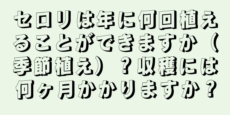 セロリは年に何回植えることができますか（季節植え）？収穫には何ヶ月かかりますか？