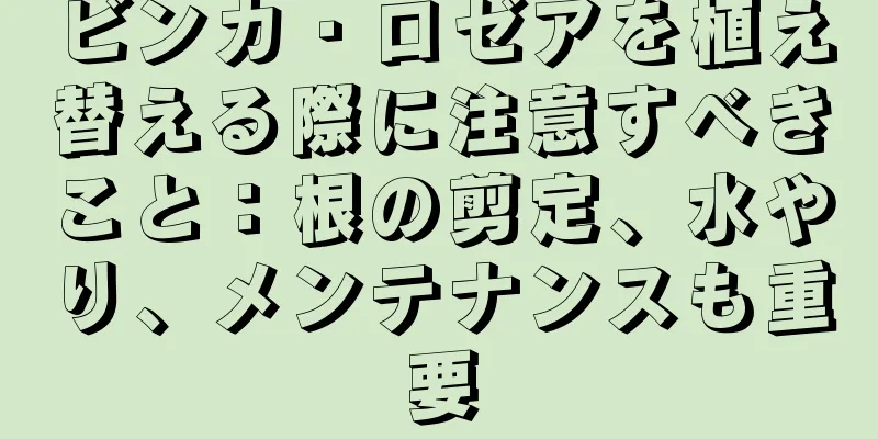 ビンカ・ロゼアを植え替える際に注意すべきこと：根の剪定、水やり、メンテナンスも重要