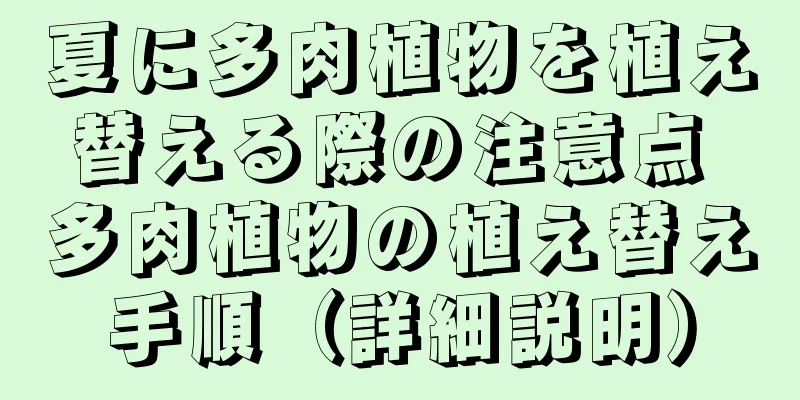 夏に多肉植物を植え替える際の注意点 多肉植物の植え替え手順（詳細説明）