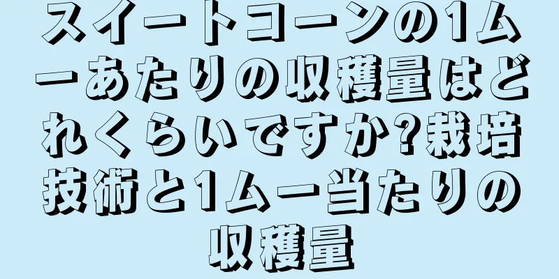 スイートコーンの1ムーあたりの収穫量はどれくらいですか?栽培技術と1ムー当たりの収穫量