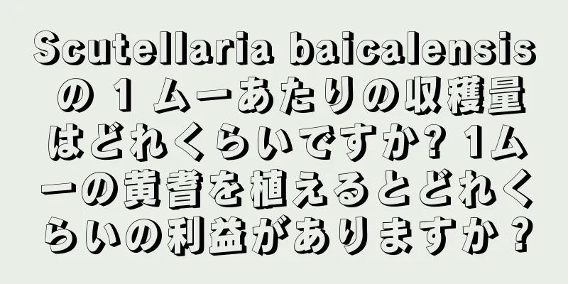 Scutellaria baicalensis の 1 ムーあたりの収穫量はどれくらいですか? 1ムーの黄耆を植えるとどれくらいの利益がありますか？