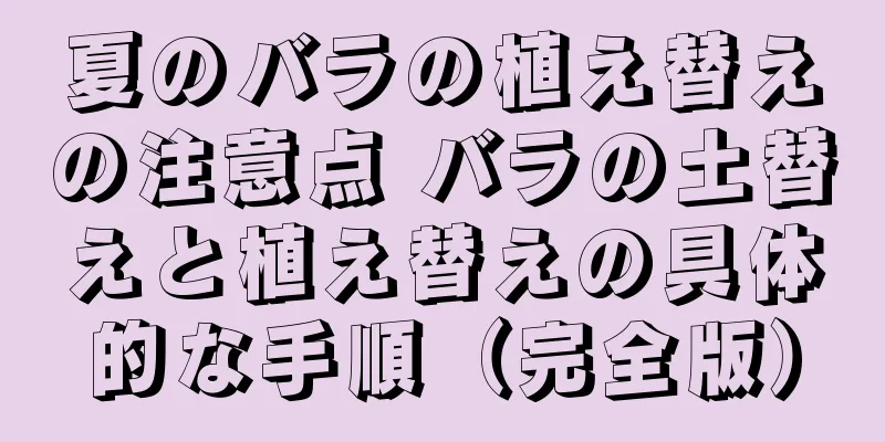 夏のバラの植え替えの注意点 バラの土替えと植え替えの具体的な手順（完全版）