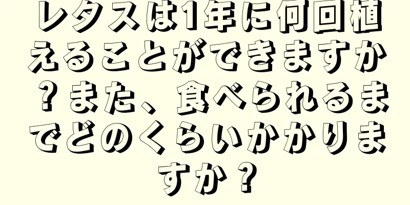 レタスは1年に何回植えることができますか？また、食べられるまでどのくらいかかりますか？