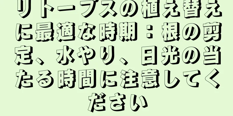 リトープスの植え替えに最適な時期：根の剪定、水やり、日光の当たる時間に注意してください