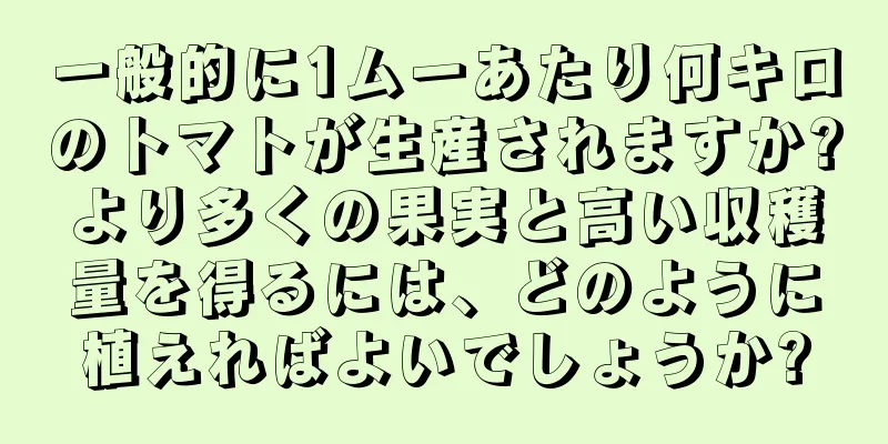 一般的に1ムーあたり何キロのトマトが生産されますか?より多くの果実と高い収穫量を得るには、どのように植えればよいでしょうか?
