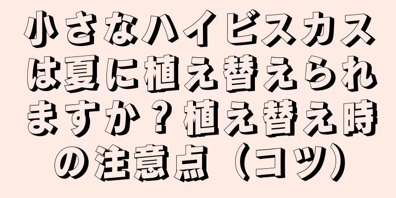 小さなハイビスカスは夏に植え替えられますか？植え替え時の注意点（コツ）