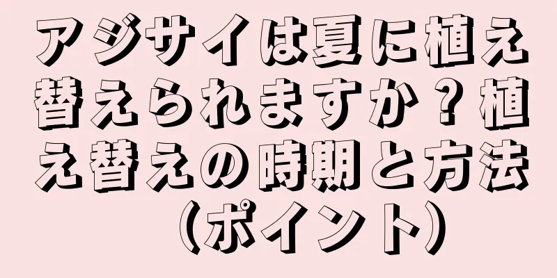 アジサイは夏に植え替えられますか？植え替えの時期と方法（ポイント）