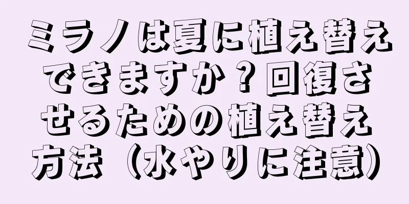 ミラノは夏に植え替えできますか？回復させるための植え替え方法（水やりに注意）