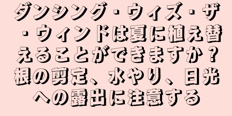 ダンシング・ウィズ・ザ・ウィンドは夏に植え替えることができますか？根の剪定、水やり、日光への露出に注意する